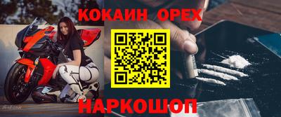 шишки Братск
