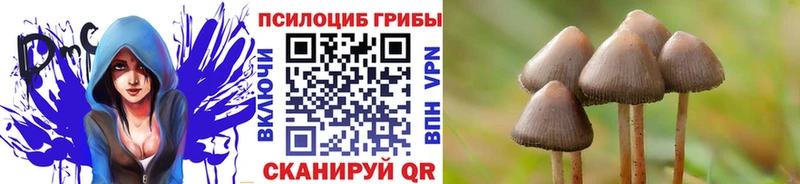 Галлюциногенные грибы мухоморы продажа наркотиков Аргун